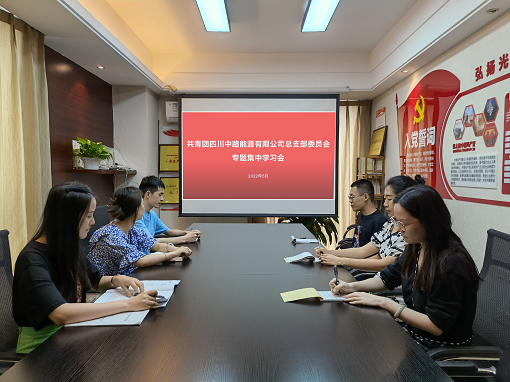 中路公司团总支组织开展专题集中学习会.png